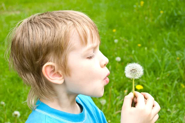 Boy with dandelion outdoors — Stock Photo, Image
