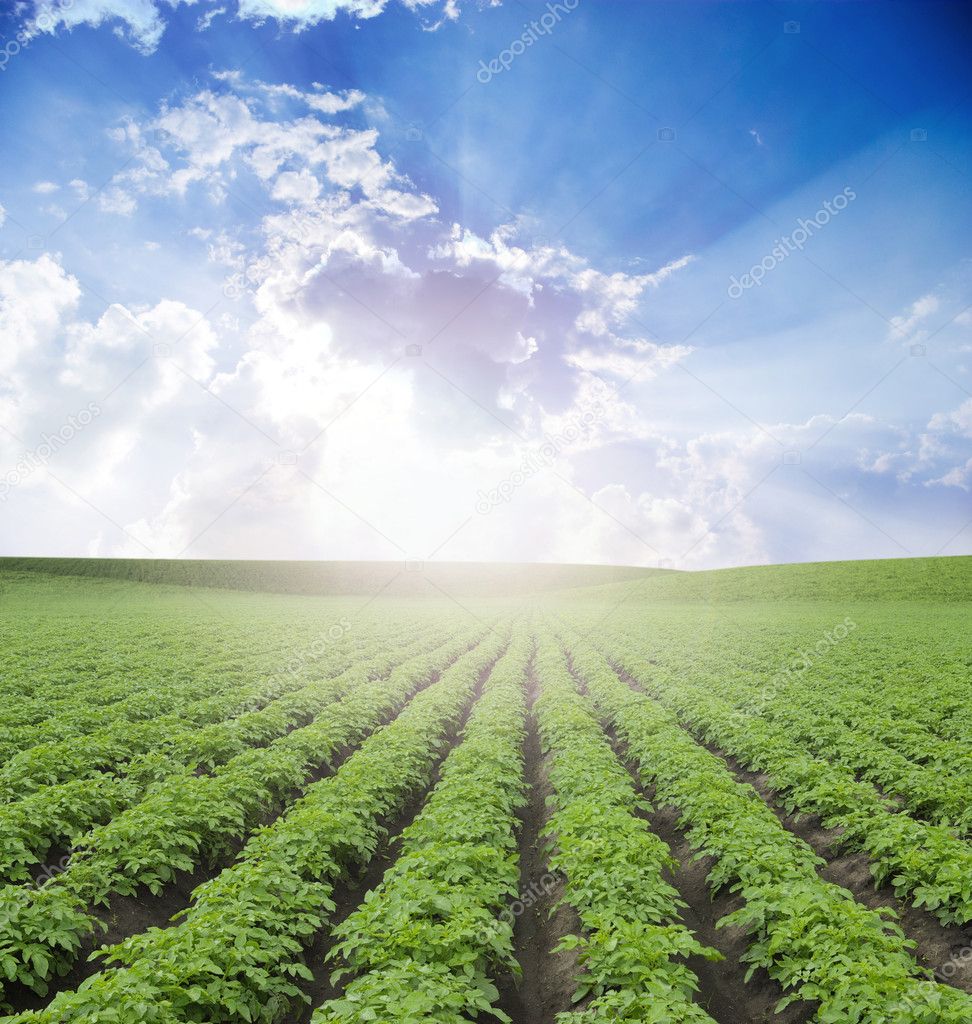 Landscape — Stock Photo © volokhatiuk 5454393