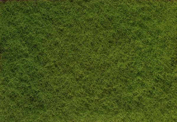 绿色纹理的草 — 图库照片