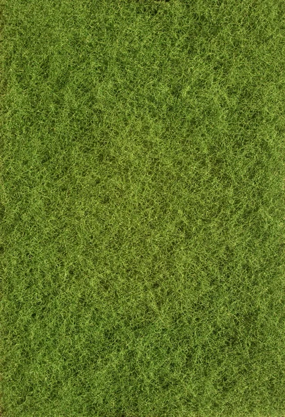 Green texture of grass — Stock Photo, Image