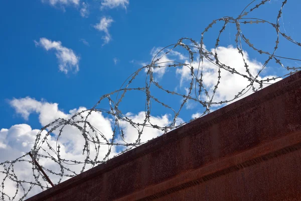 Barbed wire on a background of blue sky. — Stock Photo, Image