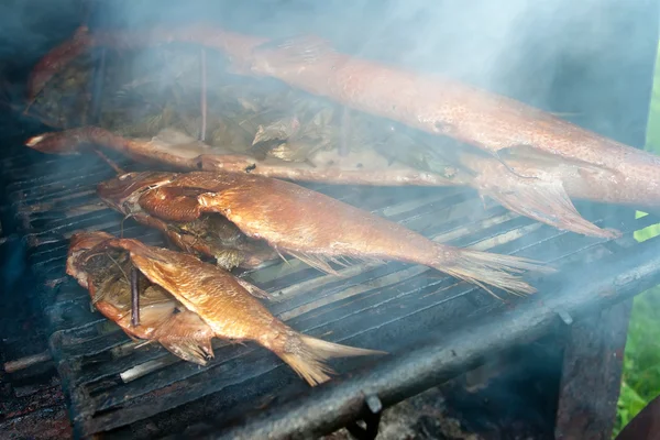 燻製魚 — ストック写真