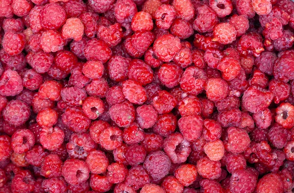 Sweet fresh raspberries closeup — Stock Photo, Image