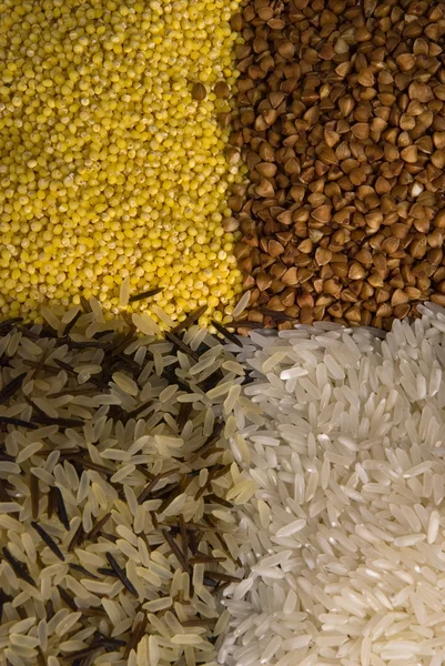 Contexte du millet, du sarrasin et du riz — Photo