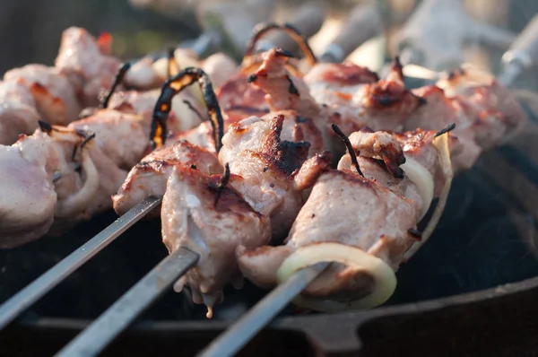 stock image Shish kebab