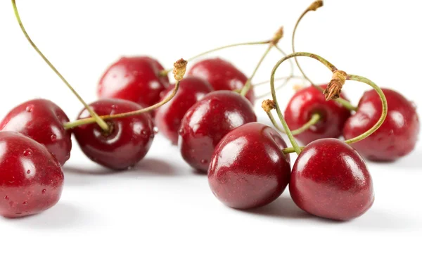 Cherry-berry — Stock Fotó