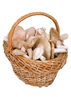 Basket with mushrooms clipart