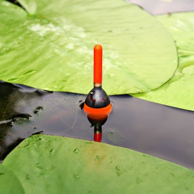 Balıkçılık float