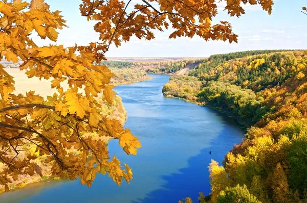 Nehir ve sonbaharda odun — Stok fotoğraf