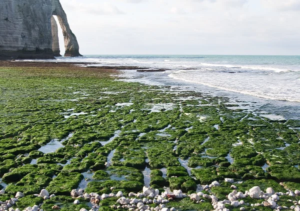 Ünlü kayalıklarla, etretat normandy, Fransa için. deniz gelgit — Stok fotoğraf