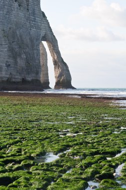 The famous cliffs at Etretat in Normandy, France. Tide sea clipart