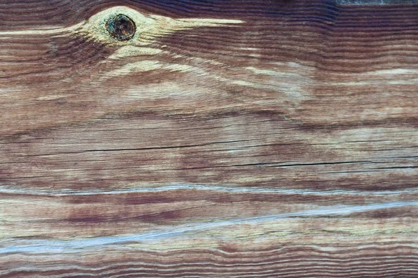 Texture - old gnarled wood — Stock Photo, Image