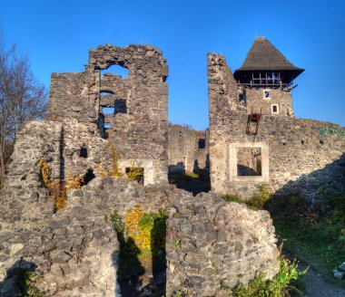 Nevytsky Castle in Zakarpattya, Ukraine clipart