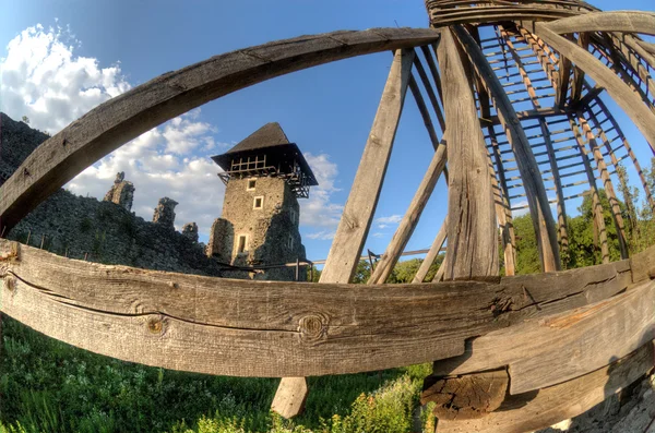 Невицкий замок в Закарпатье, Украина — стоковое фото