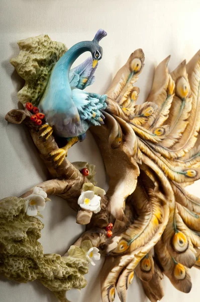 Peacock bild — Stockfoto