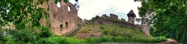 Castel în satul Nevicke, Ucraina — Fotografie, imagine de stoc