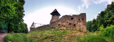 Nevitsky Castle ruins Ukraine Built in 13th century clipart