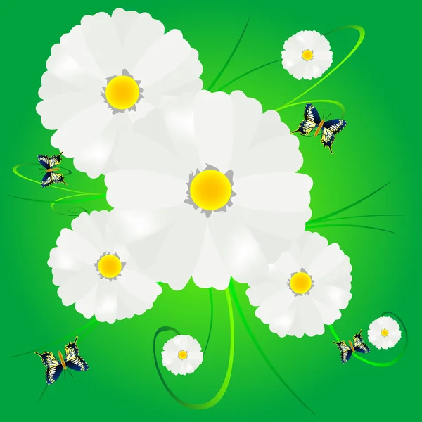 Flower daisywheel on green background — Stock Vector