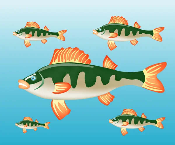 Perche de poisson dans l'eau — Image vectorielle