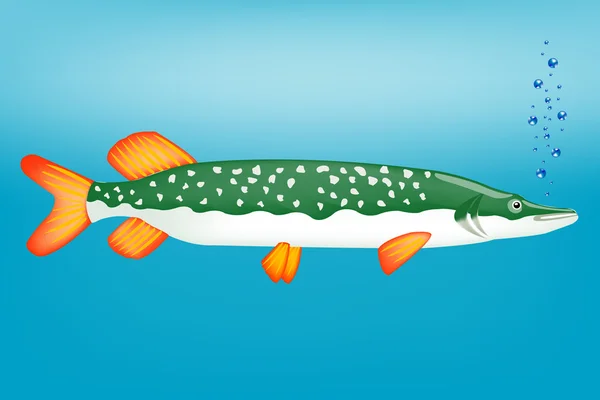 Hladové ryby štika — Stockový vektor