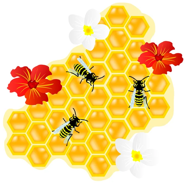 Bijen op de honingraat en flowerses — Stockvector