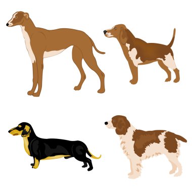 Dogs of the varied sorts clipart