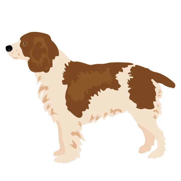 Рисунок собаки на белом — стоковый вектор