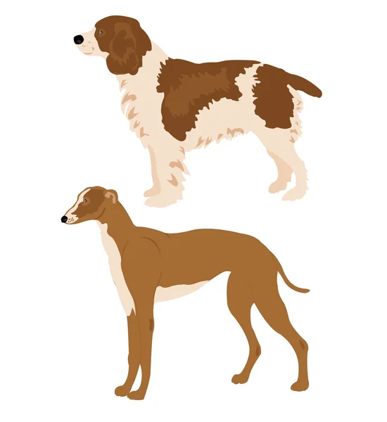 Illustration two dogs on white — Stock Vector