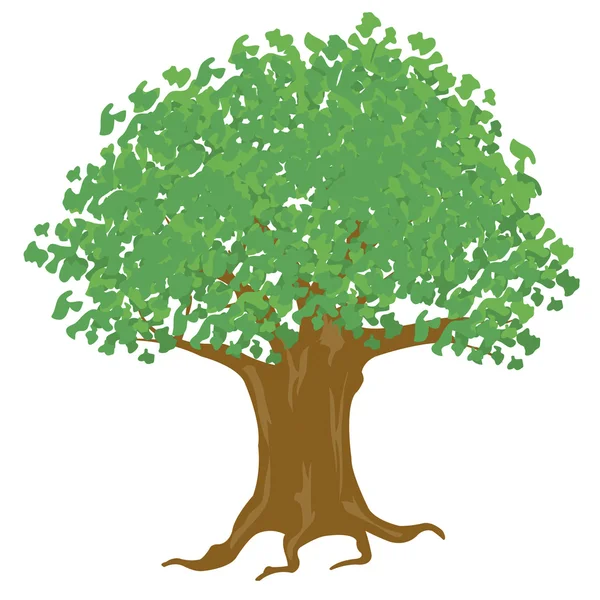 Дерево иллюстрации с зеленой листвой на белом фоне — стоковый вектор