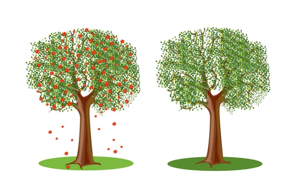 Träd av våren och sommaren — Stock vektor