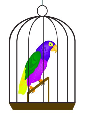 papağan kafese