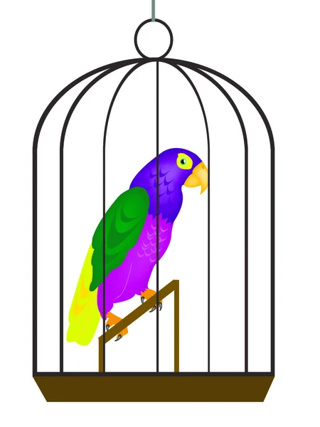 Papoušek v kotec — Stockový vektor