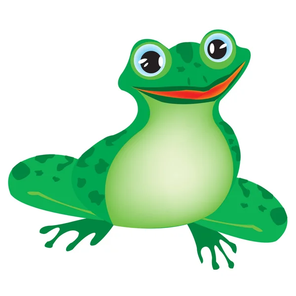 Green frog on white background — Stock Vector