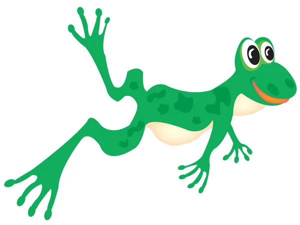 Drawing of the green frog on white — Stock Vector