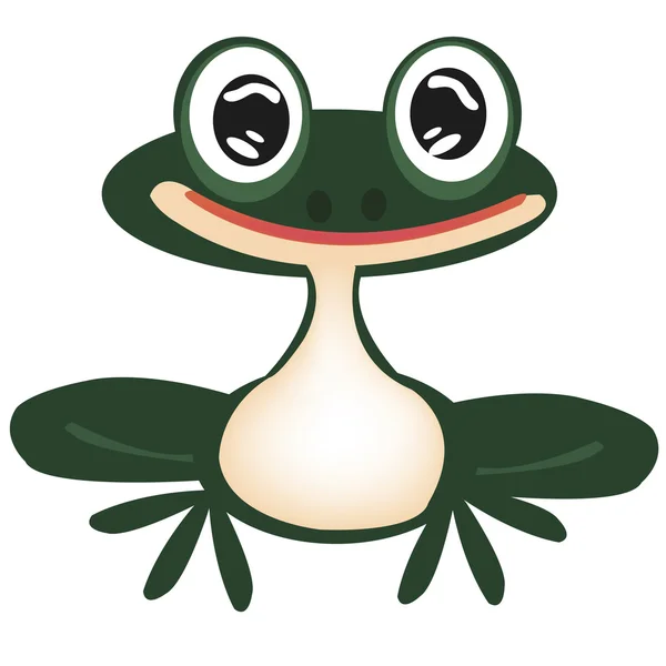 Green frog on white — Stock Vector