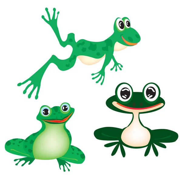 Ilustrace zelená žába na bílém pozadí — Stockový vektor