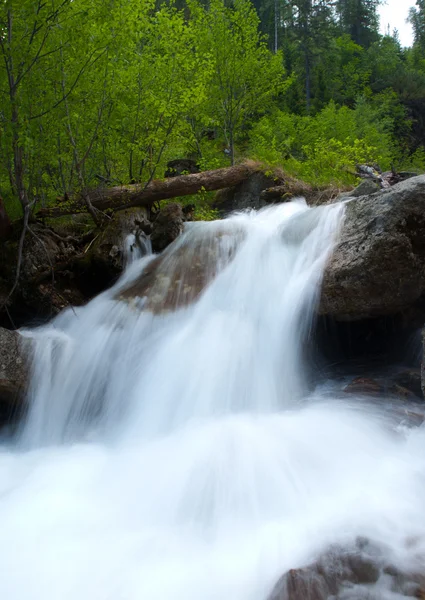 Beautiful stream — Stock Photo, Image