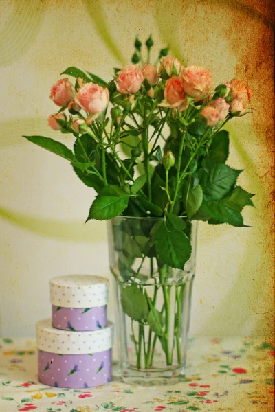 Vintage kép a rózsa — Stock Fotó