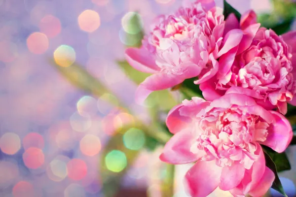 아름다운 꽃다발 스톡 사진