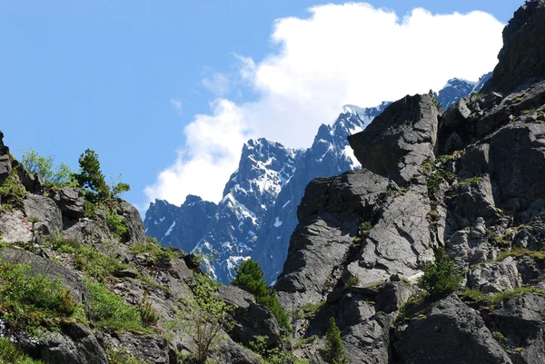 Paysage avec montagnes, Russie, Gorny Altaï — Photo