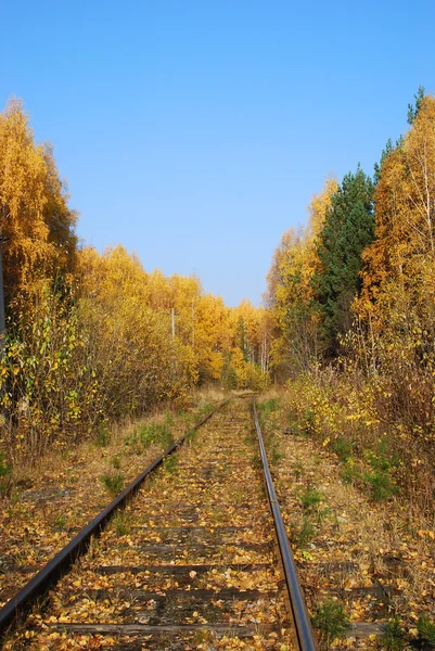 stock image Railway