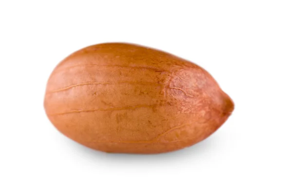 Single peanut — Stock Photo, Image
