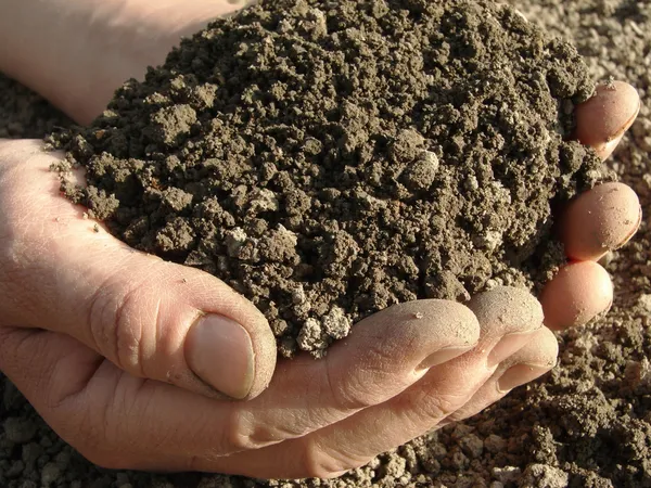 Горстка почвы — стоковое фото