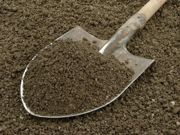 Spade with soil — Stock Photo, Image