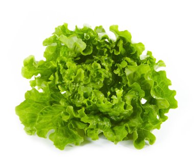 Fresh green lettuce clipart