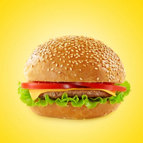 汉堡包 — 图库照片