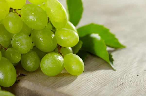 Friss zöld szőlő — Stock Fotó