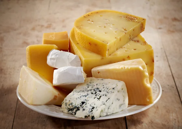Käse auf weißem Teller — Stockfoto
