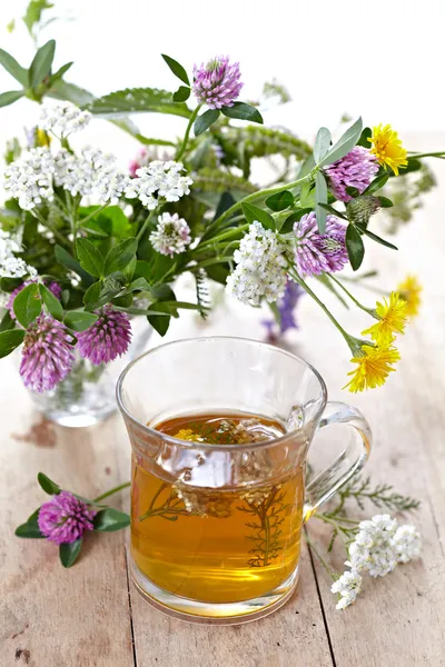 Świeże herbaty ziołowe — Zdjęcie stockowe