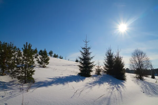 Paysage d'hiver, soleil — Photo